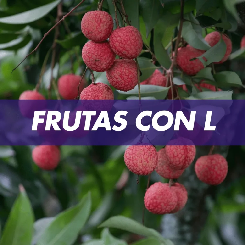 frutas con L fruta con L fruta que comienza con la letra L fruta que comienza con L
