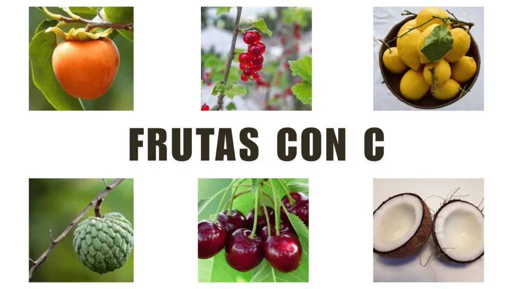 Fruta con C, una lista llena de sabor y nutrición 1 fruta con c
frutas con c
frutas que comienzan con c
frutas que comienzan con la letra c