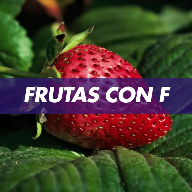 fruta con f frutas con f frutas que comienzan con la letra f frutas que comienzan con f