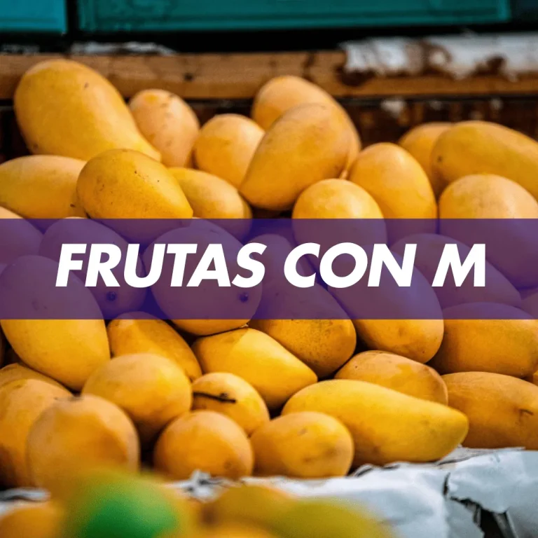 fruta con m frutas con m fruta que comienza con la letra m fruta que comienza con m