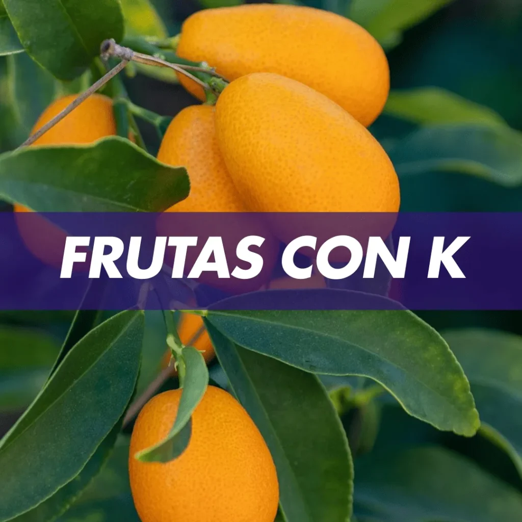 fruta con k frutas con k frutas que empiezan con la letra k frutas que empiezan con k