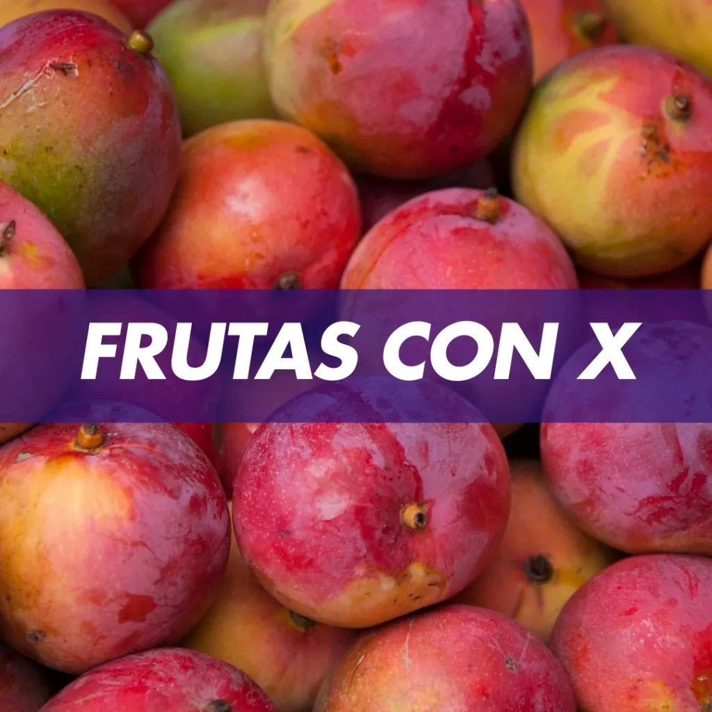 Frutas con x fruta con x Frutas que empiezan con x Frutas que empiezan con la letra x