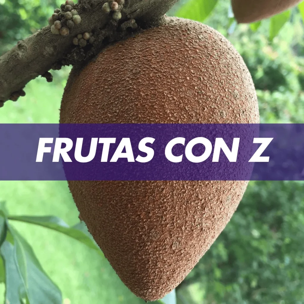 fruta con z frutas con z Frutas que empiezan con z Frutas que empiezan con la letra z